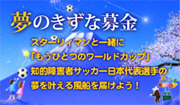 夢のきずな募金
